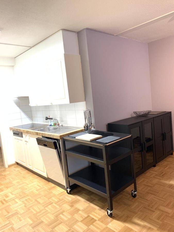 Xl City Center Apartment-Contactless Check-In Basel Luaran gambar